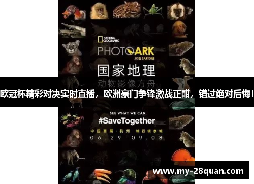 欧冠杯精彩对决实时直播,欧洲豪门争锋激战正酣,错过绝对后悔! 欧冠杯精彩对决实时直播,欧洲豪门争锋激战正酣,错过绝对后悔!