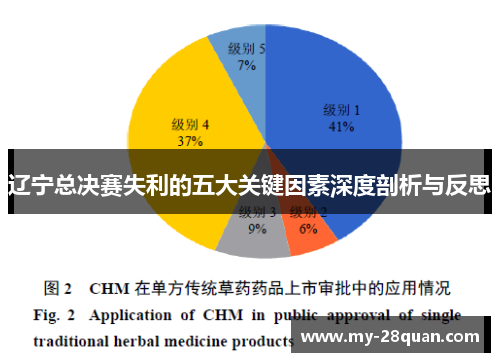 辽宁总决赛失利的五大关键因素深度剖析与反思