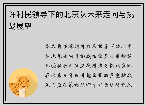 许利民领导下的北京队未来走向与挑战展望 许利民领导下的北京队未来走向与挑战展望
