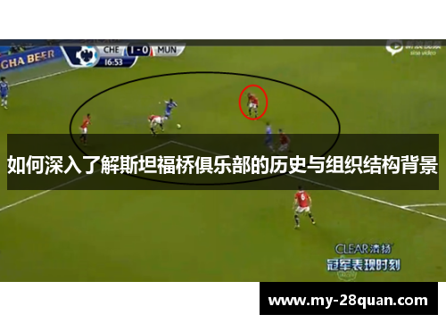 如何深入了解斯坦福桥俱乐部的历史与组织结构背景